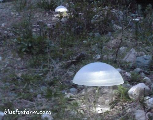 What a great effect!  The Mushroom Solar Lights at night