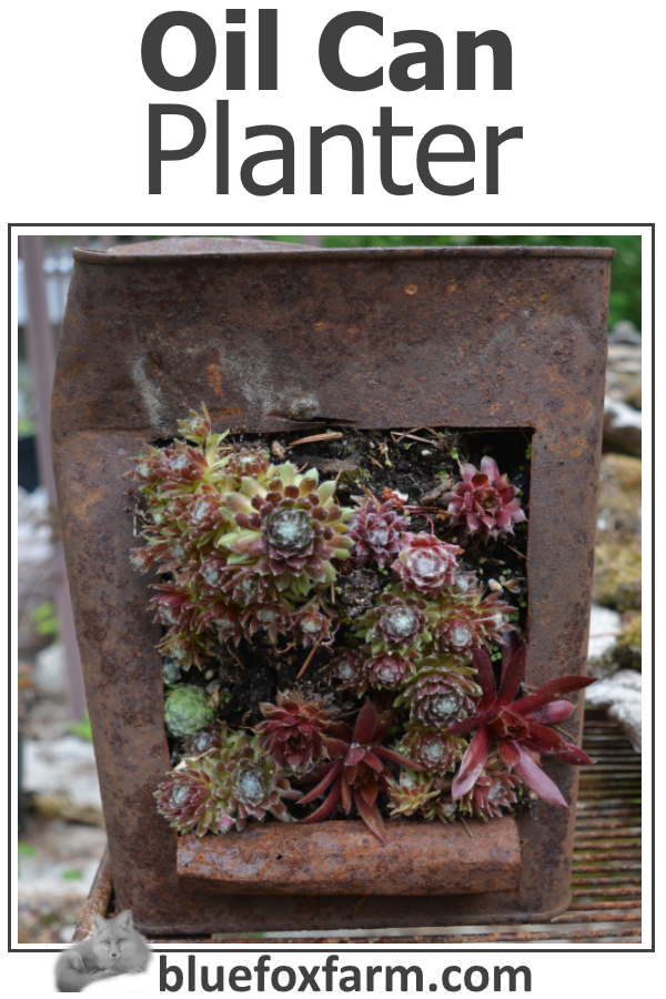 oil-can-planter600x900.jpg