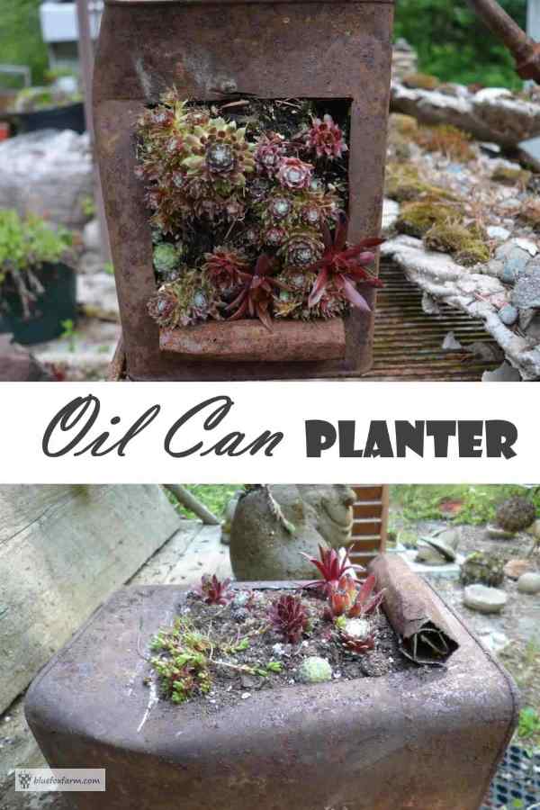 Oil Can Planter - Garden Art DIY