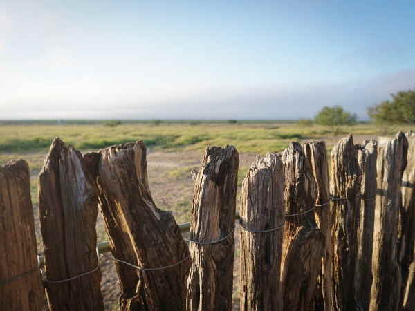 Palisade fence, supported by a metal fence behind it