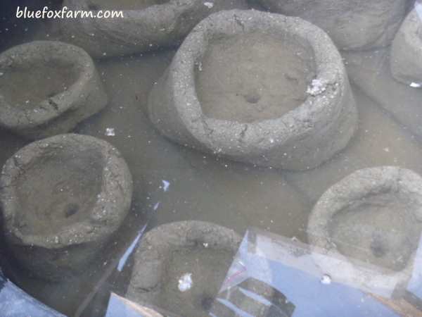 Curing the hypertufa pinch pots with a water bath