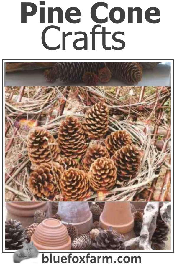 Pine Cone Owl Wall Hanging - Pine Cone Crafts For Kids and more