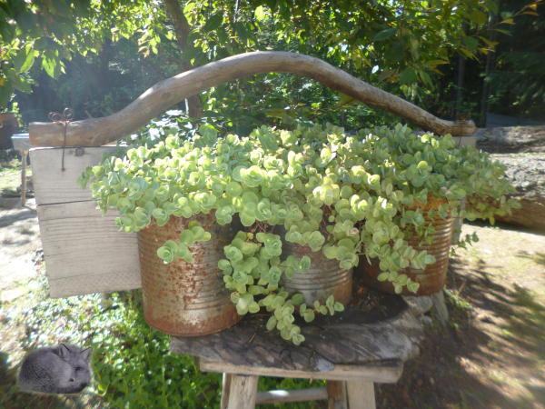 Tin can planter with twig handle planter-ideas-with-twigs-tin-can-planter600x450.jpg