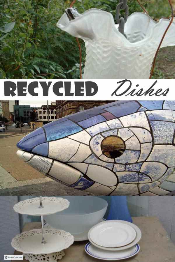 Recycled Dishes