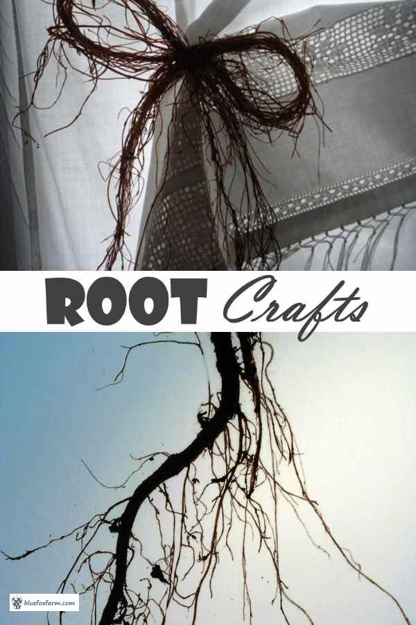 Root Crafts art made from natures bounty