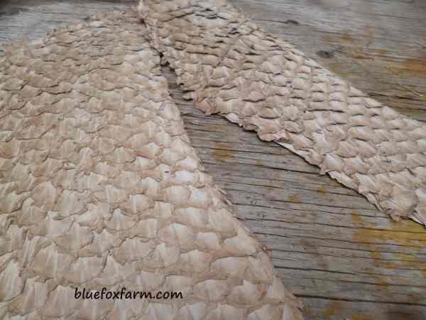 Carp skin leather - yes, from a fish!