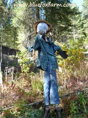 The finished Rustic Scarecro