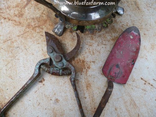 Vintage and rustic garden tools emphasize the theme...