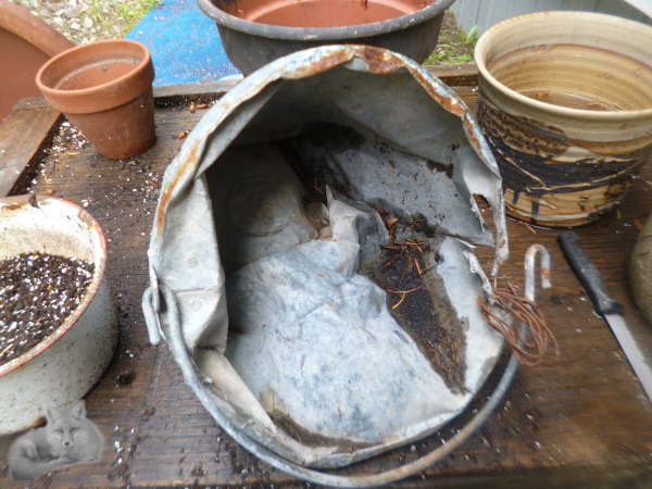 The top view of the salvaged galvanized bucket