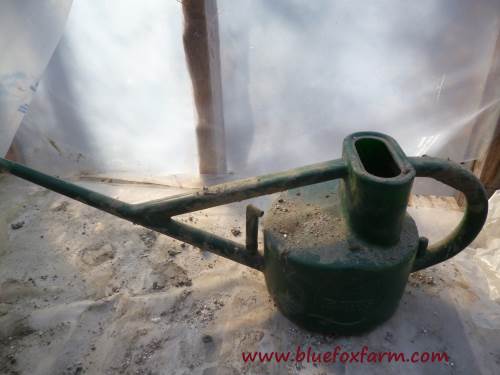 My favorite Hawes watering can - it has perfect balance...