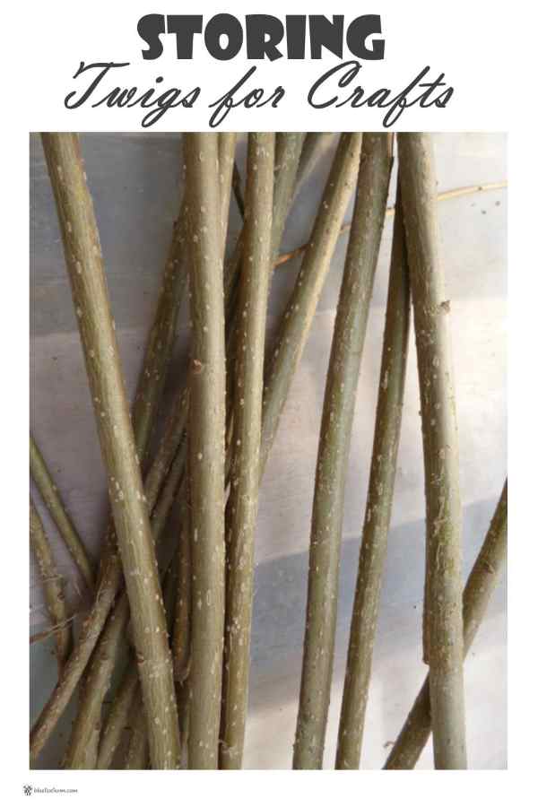 Storing Twigs for Crafts; harvesting and collecting is done, now what?