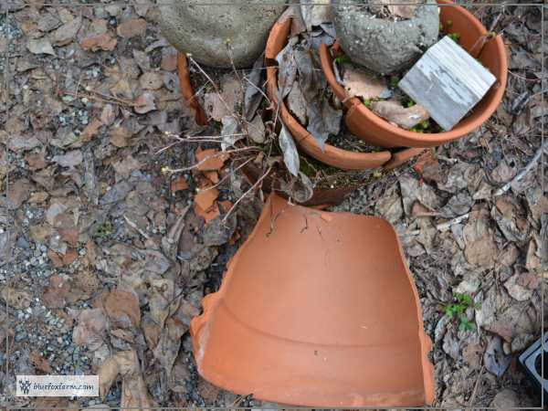 Terracotta Clay Pot disaster