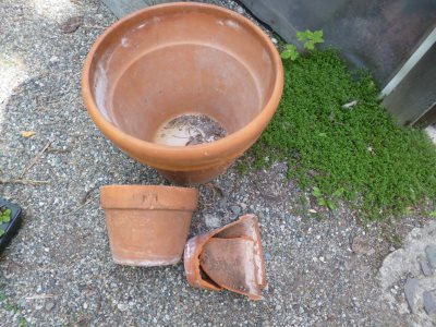 Oh, no!  They're broken - not to worry, there is a good use for smashed terracotta pots...