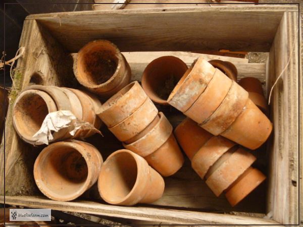 Vintage Terracotta Clay Pots