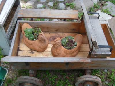 Terracotta hens with hens and chicks