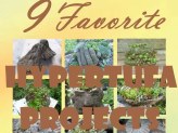 9 Favorite Hypertufa Projects