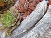 Driftwood Planters