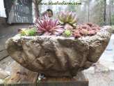 Faux Wood Hypertufa Pot