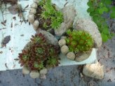 A Handful of Hypertufa Hands from a different perspective...