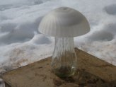 Mushroom Solar Lights...