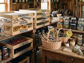 thumb-storage-of-foraged-harvests.jpg