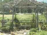 Rustic Garden Structures