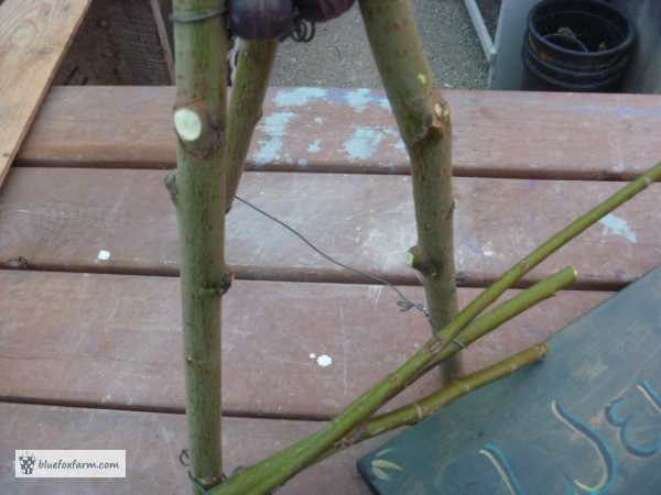Front view of the twig easel