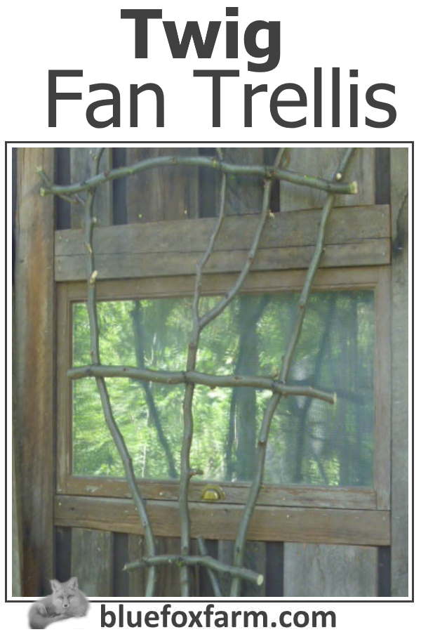 twig-fan-trellis-600x900.jpg