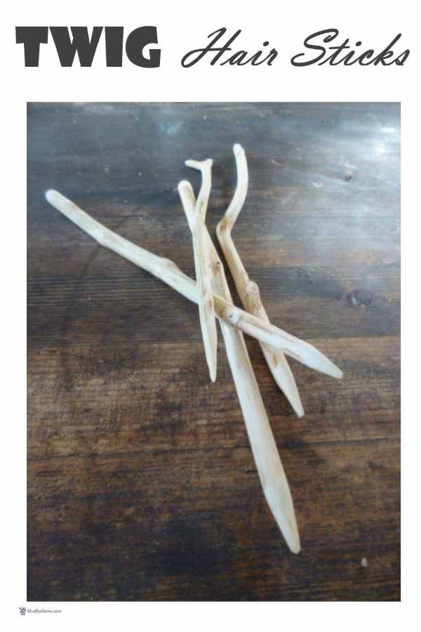 Twig Hair Sticks
