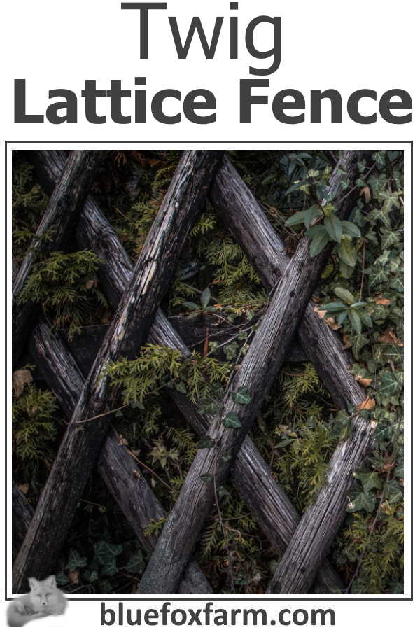 Twig Lattice Fence flanking a rustic garden arch