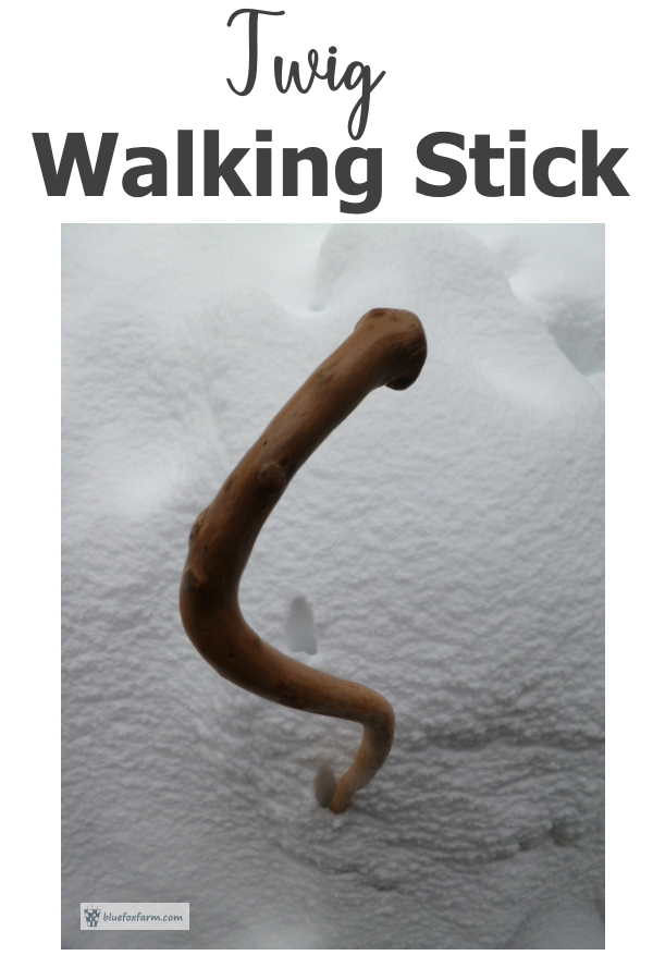 Twig Walking Stick