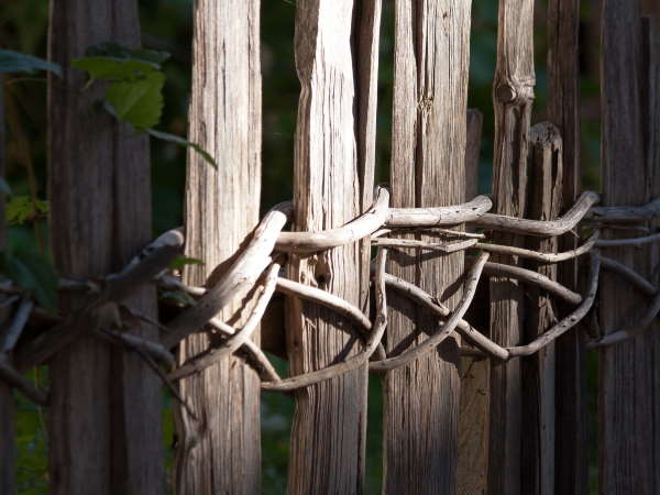 Cedar Slab Fence with Willow Accent