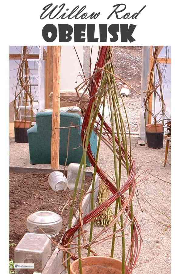 Willow Rod Obelisk; rustic plant support diy