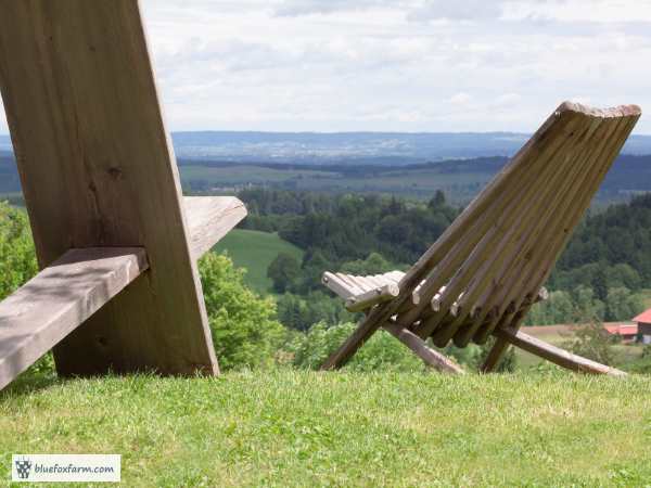 Two simple wooden chairs