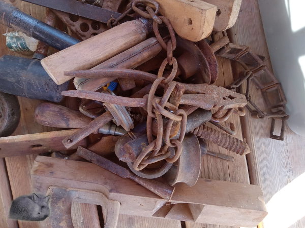70-mile-yard-sale-score-bragging-it-up600x450.jpg
