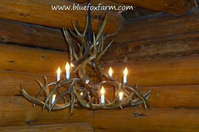 Antler Chandelier