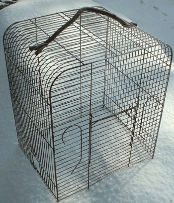Is your bird cage missing a handle?  Use a wiggly twig!