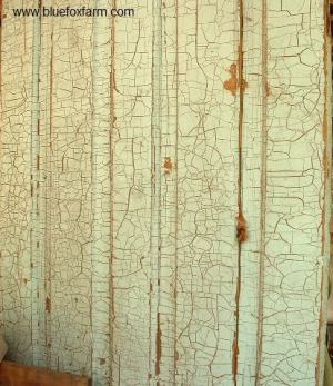 The genuine article - a crackled door, aged and weathered by nature