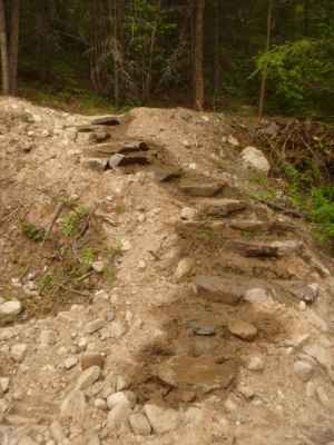 A Step in Thyme - rock staircase leading up the hillside - a favorite walk