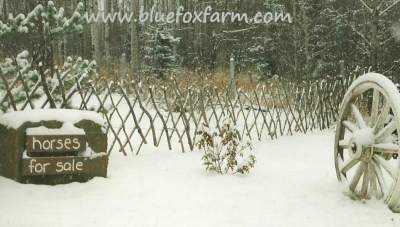 How to build a Lattice Fence - go there now...