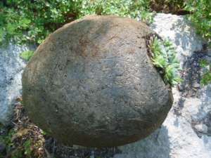 Hypertufa Sphere - this one looks like an egg..