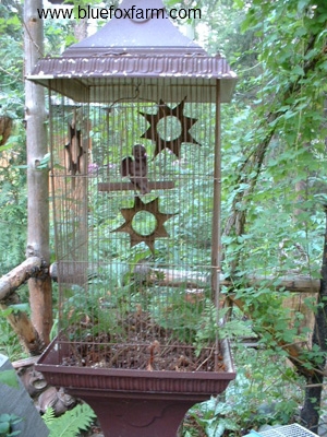 Rustic Victorian style bird cage with a twist...it's got a passenger, with wings, but it's a cherub...