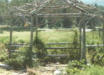 Rustic Twig Gazebo at Tatla Springs 