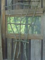 Twig Fan Trellis Tutorial- see more here...