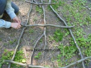 Wiring the twigs together