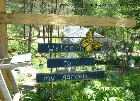 Welcome to my Garden...