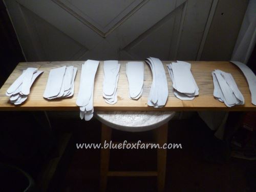 Angel Wing Feathers sorted into sizes...