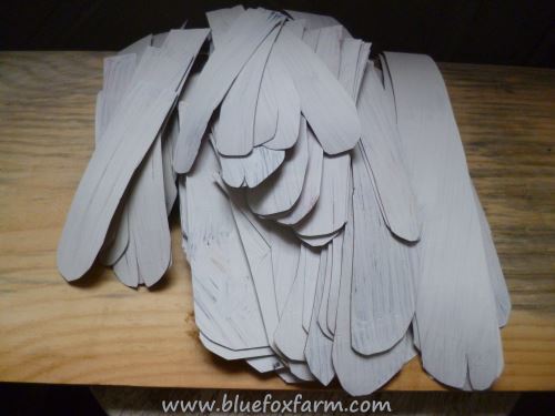 Angel Wing Feathers...