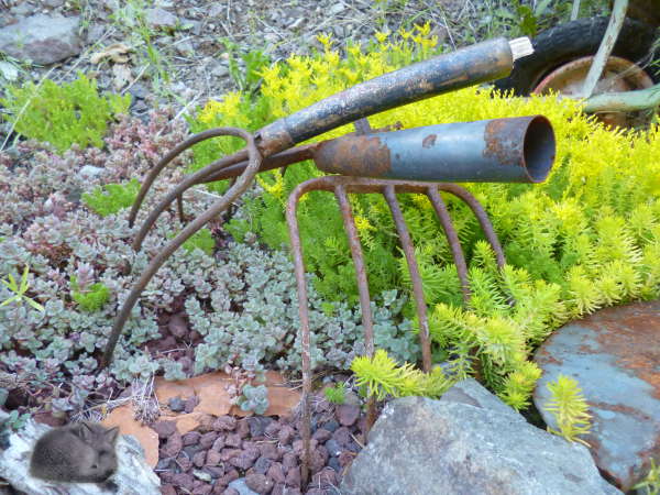 Antique and vintage pitchforks make a protective fence for precious plants antique-tools-for-garden-art-pitchfork-fence600x450.jpg