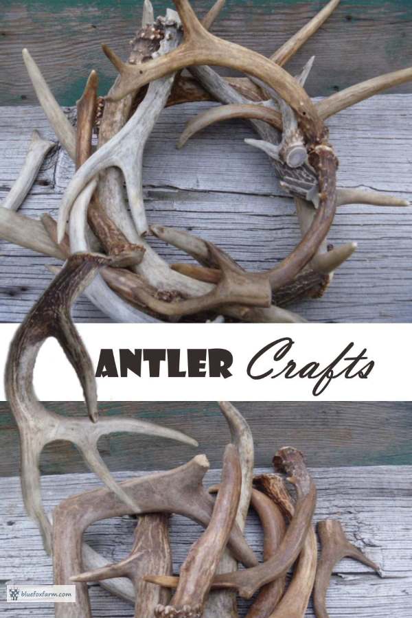 Antler Crafts - what to make with this fascinating natural material